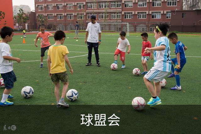 球盟会公司简介展示图